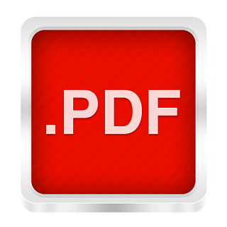 pdf icon boxed metal icons 1