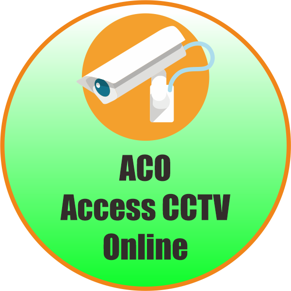 CCTV Online